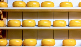 Ausflug Alkmaar katrin-leinfellner-571533-unsplash-e1522270060604[1].jpg